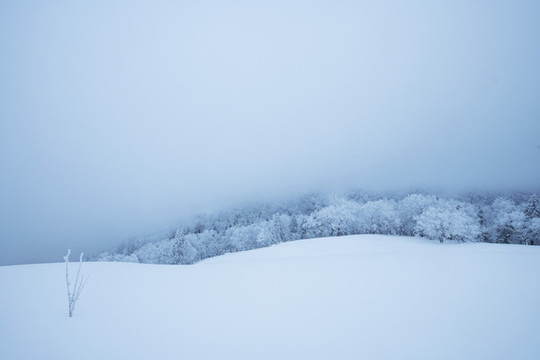 雪鄉(xiāng)美景