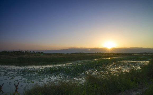 夕陽(yáng)下的濕地景觀