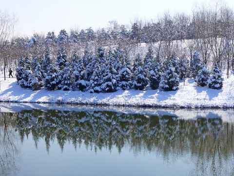 河流雪景