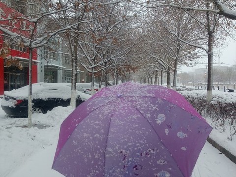 下雪