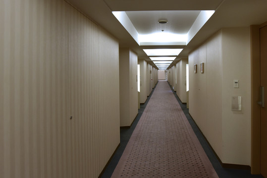 酒店的走廊