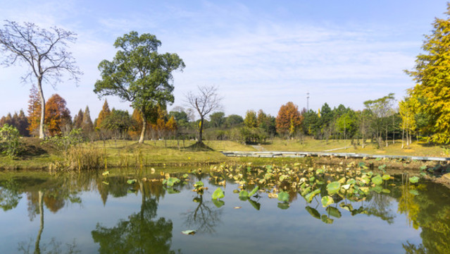冬日湖畔風景