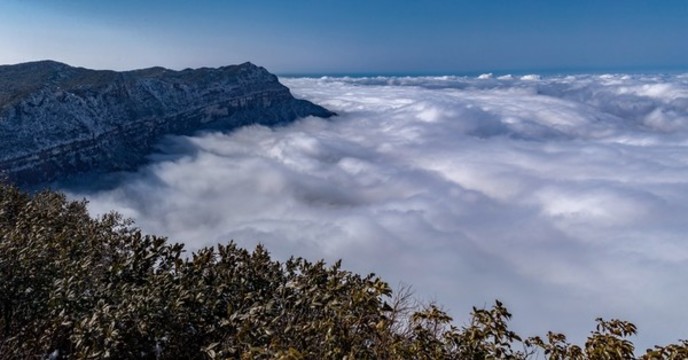 冬至到金佛山觀海