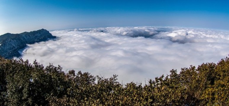 冬至到金佛山觀海