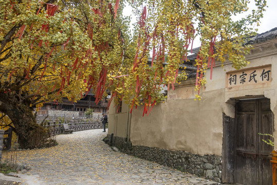 雁溪風(fēng)光
