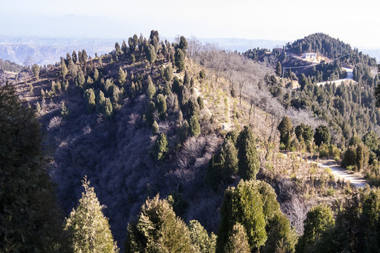 冬日驪山
