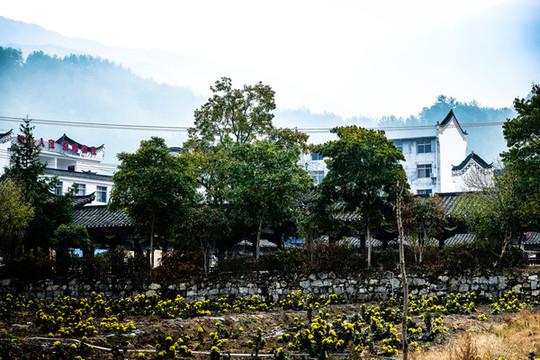 藍(lán)天圣人堂紅葉