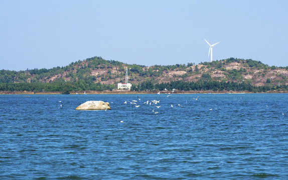 大海