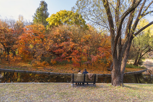 上海共青森林公園秋色
