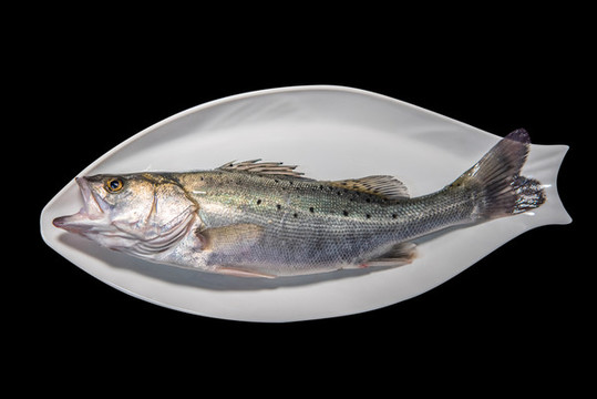 鱸魚