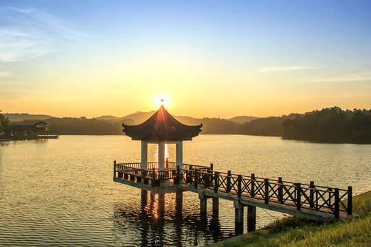 南京江寧大塘金