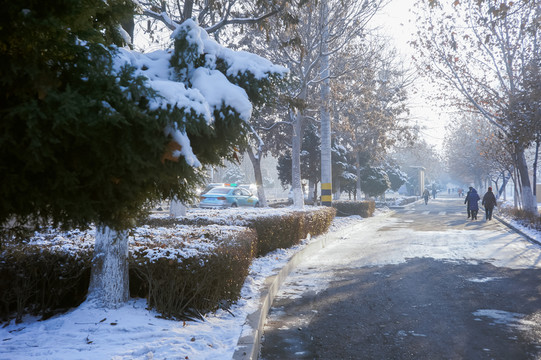 城市雪景