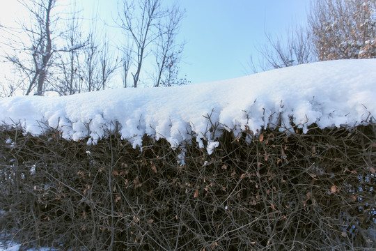 厚厚的積雪