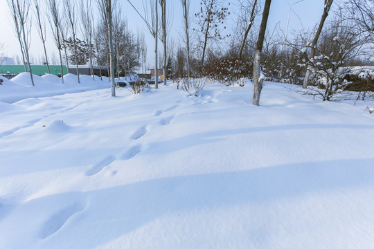 冰天雪地