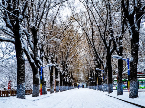 哈爾濱冰雪