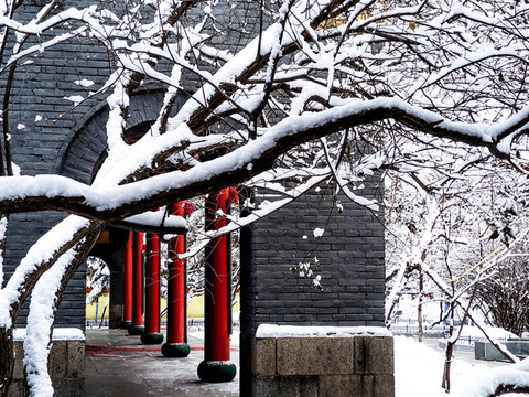 哈爾濱冰雪