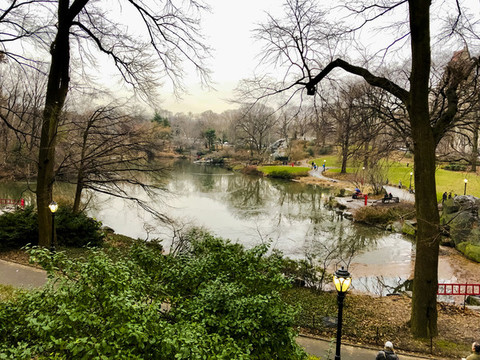 公園湖水