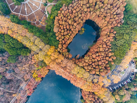 武漢東湖風(fēng)景區(qū)深秋航拍風(fēng)光