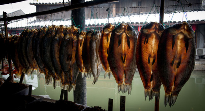 臘魚(yú)