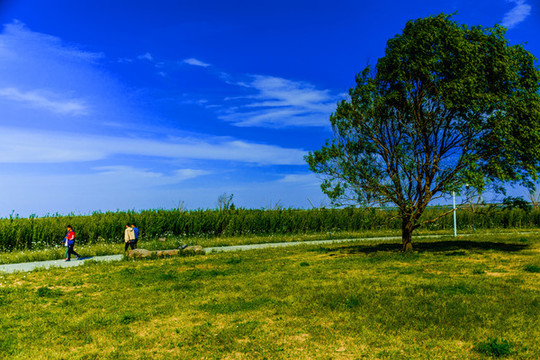滴水湖風(fēng)景區(qū)