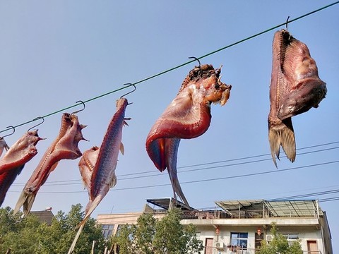 臘肉臘魚(yú)臘貨