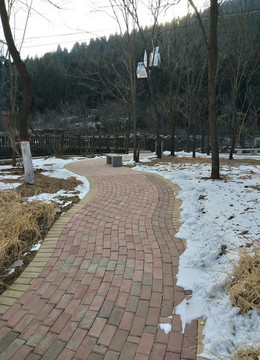 小路