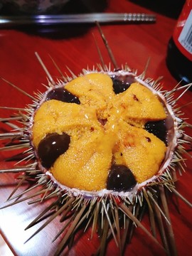 海膽