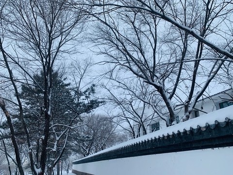 雪景院墻