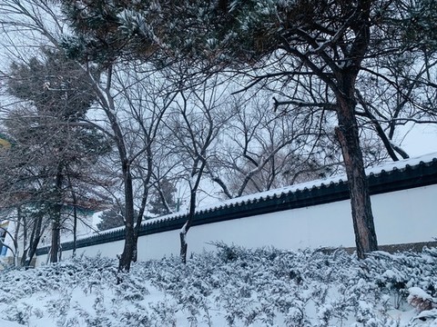 雪景院墻