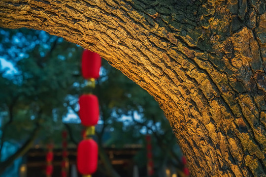 無錫美麗的惠山古鎮(zhèn)古建筑風光