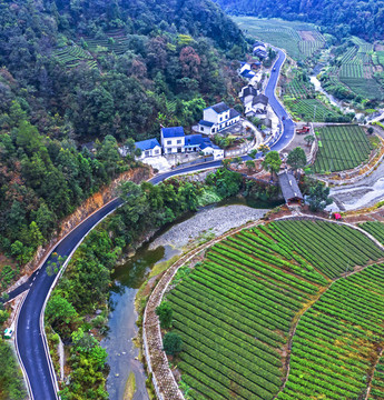 道路