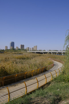 喀什濕地公園