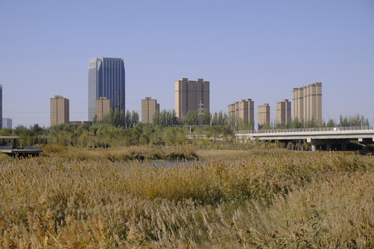 濕地公園
