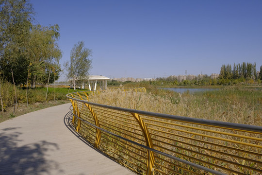 喀什濕地公園
