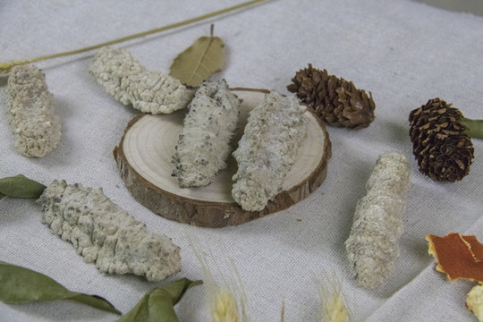 海參干貨