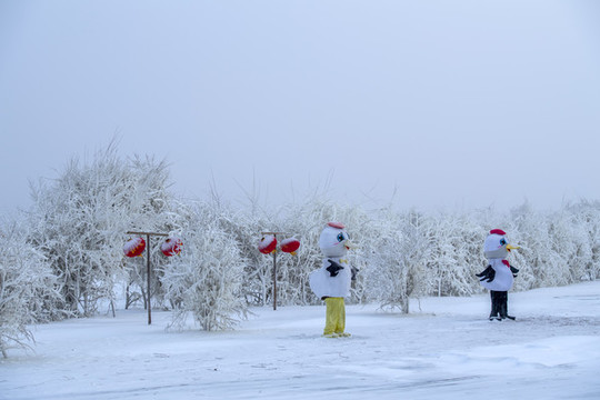 冰天雪地丹頂鶴