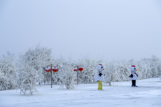 冰天雪地丹頂鶴