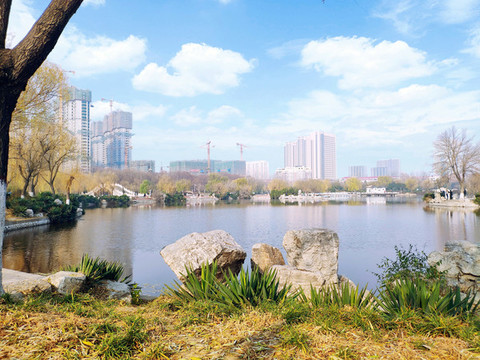 公園