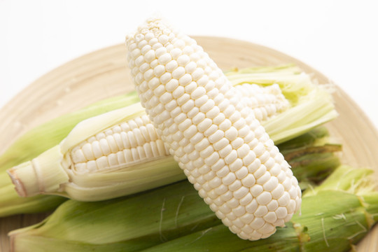 白玉米