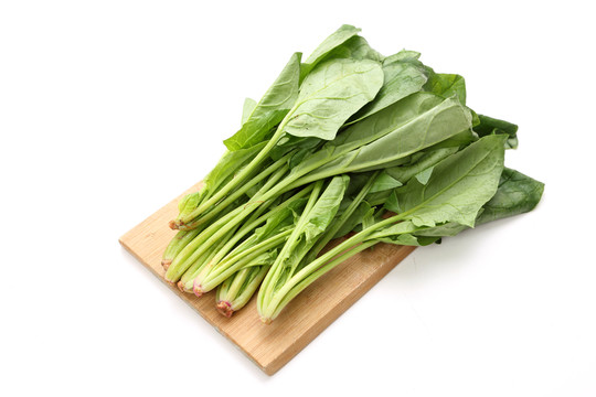 白色背景的菠菜