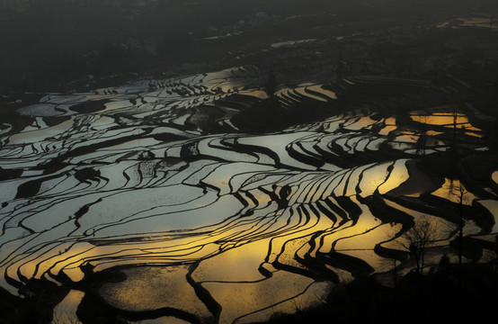 元陽(yáng)多依樹(shù)梯田