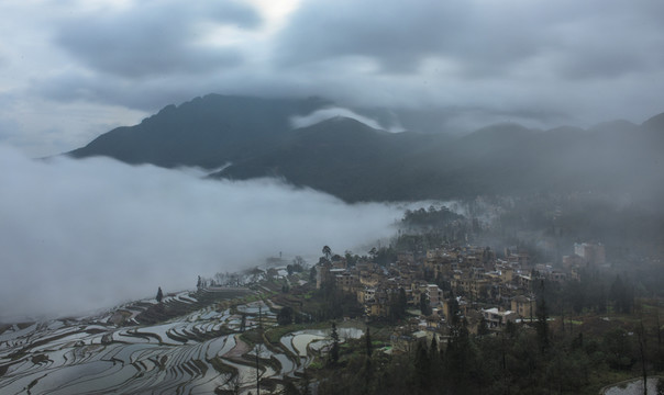 美麗的元陽梯田