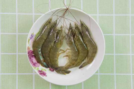 對(duì)蝦