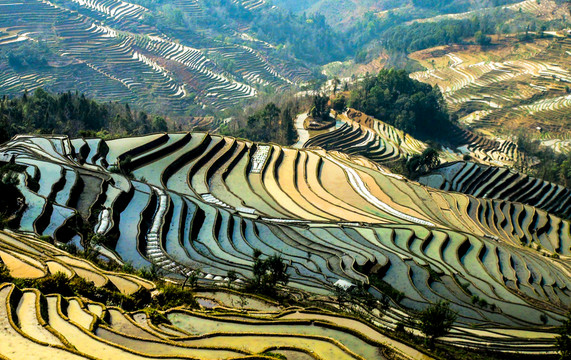 元陽(yáng)梯田