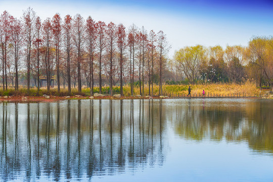 虎丘濕地公園
