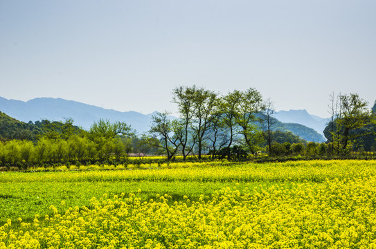 田園風(fēng)光