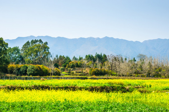 田園風(fēng)光