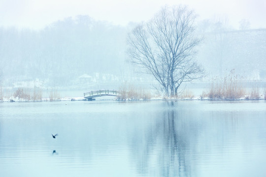 雪中前湖
