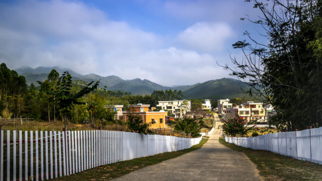 新農(nóng)村