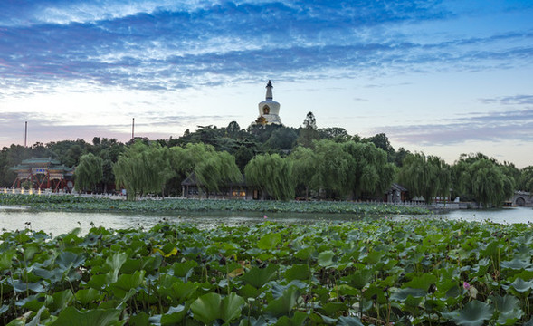 中國北京北海公園風光